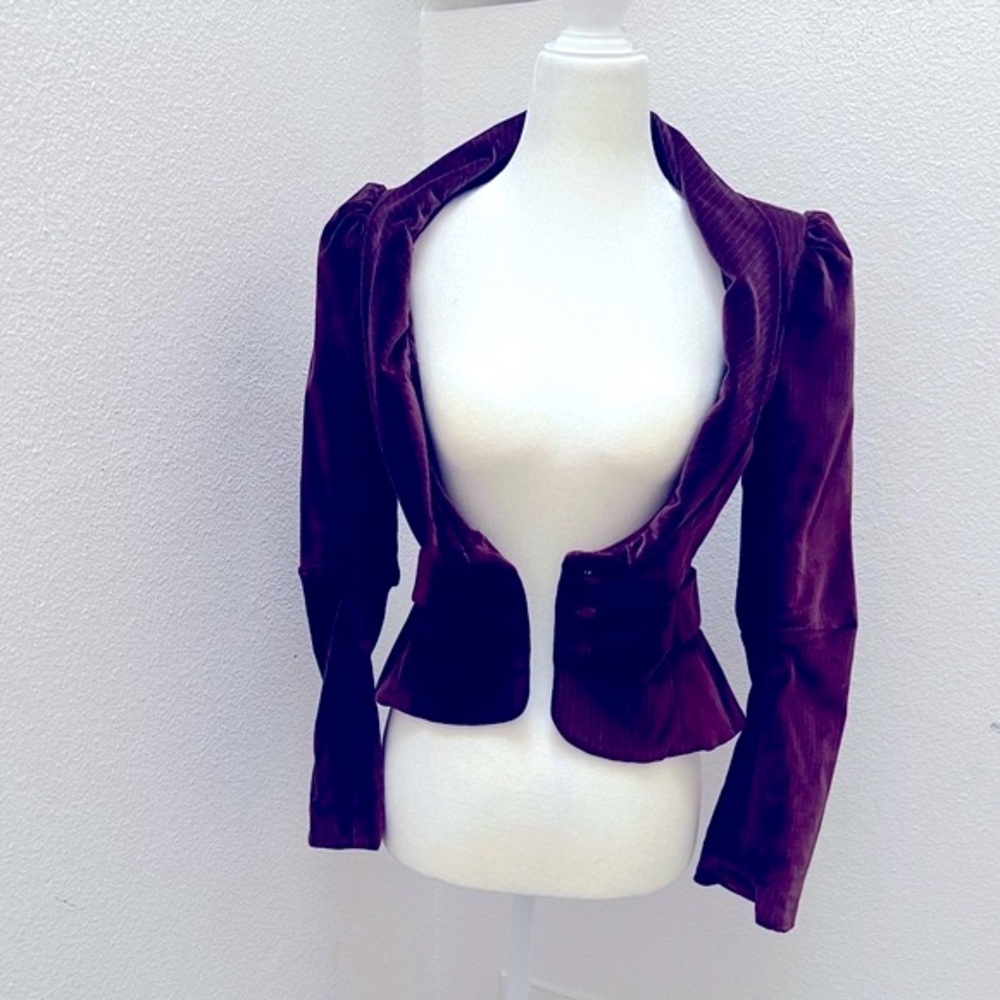 Velvet Blazer by Michelle Mason